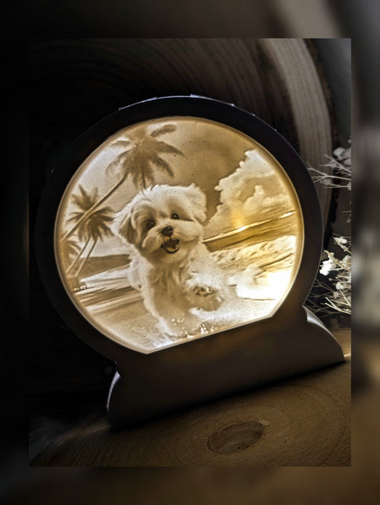Loop Lampe/ Maiky / Malteser / Premium-Qualität