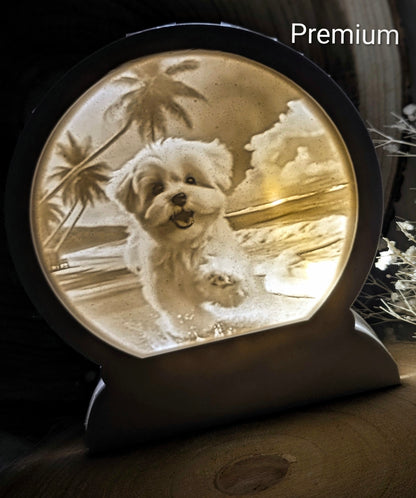 Loop Lampe/ Maiky / Malteser / Premium-Qualität