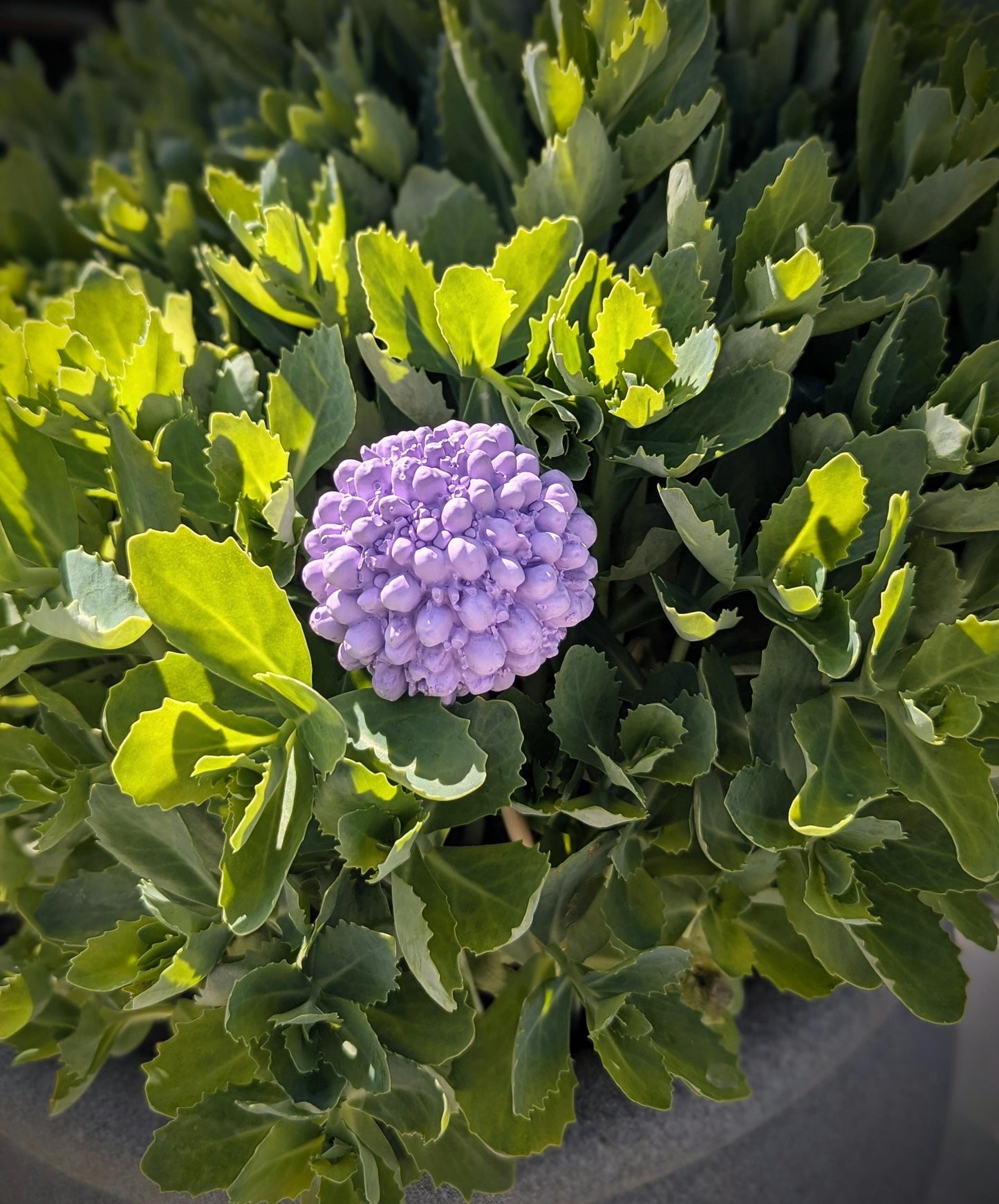 Silikonform Dekokugel V1 / Gartenstecker / Gartendeko / Blumen / Raysin / Silikonform