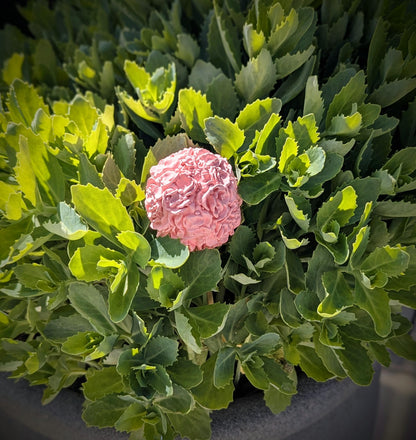 Silikonform Dekokugel V2 / Gartenstecker / Gartendeko / Blumen / Raysin / Silikonform