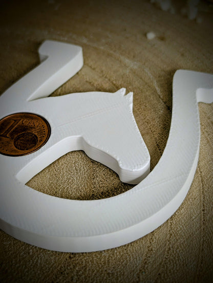 Silikonform Glücksbringer / Lucky Horse / Hufeisen / Pferdekopf / Geldgeschenk / Verpackungsidee / Raysin / Silikonform