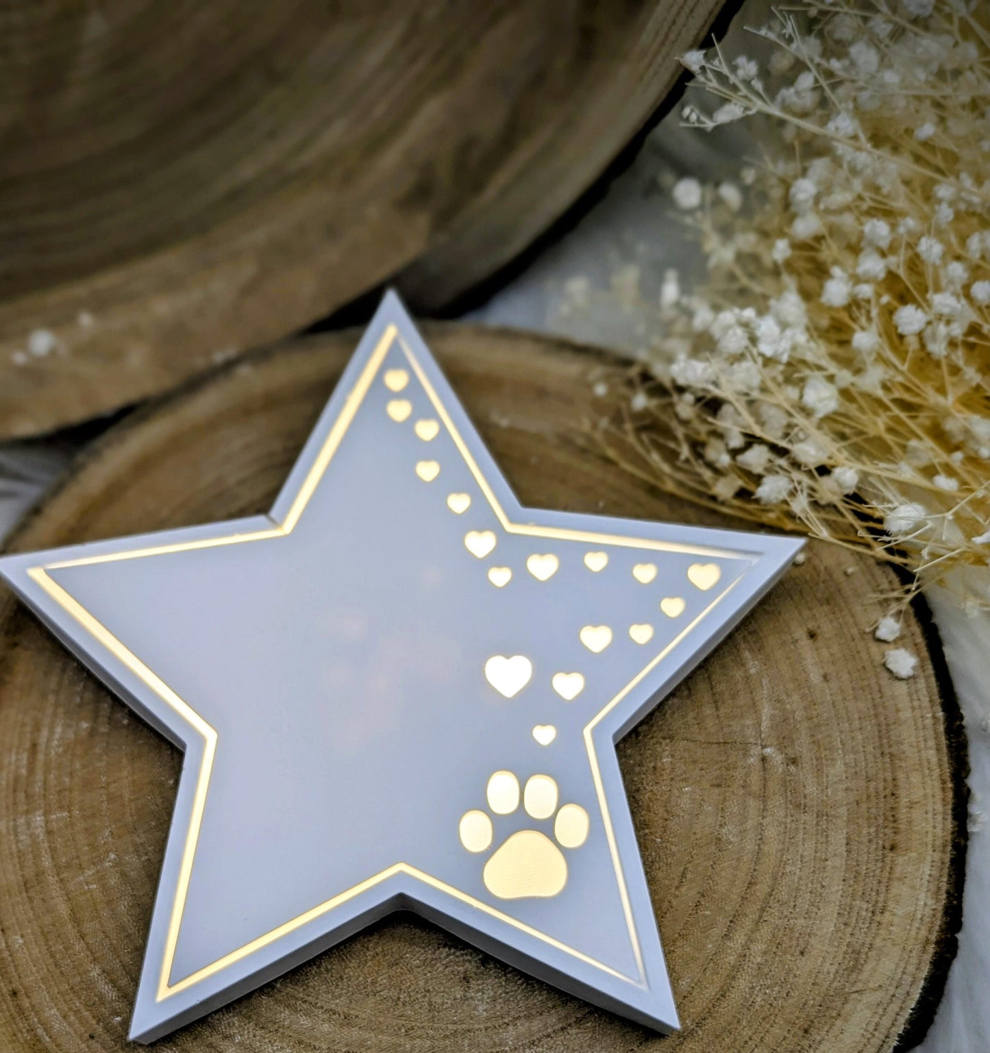Silikonform für Beleuchteter Stern / Pfotenreise / Behüteter Stern / Sternenreise / Herzstern / Raysin / Silikonform