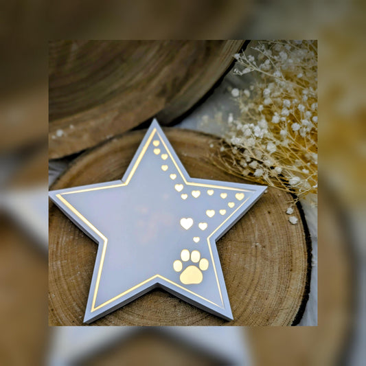 Silikonform für Beleuchteter Stern / Pfotenreise / Behüteter Stern / Sternenreise / Herzstern / Raysin / Silikonform
