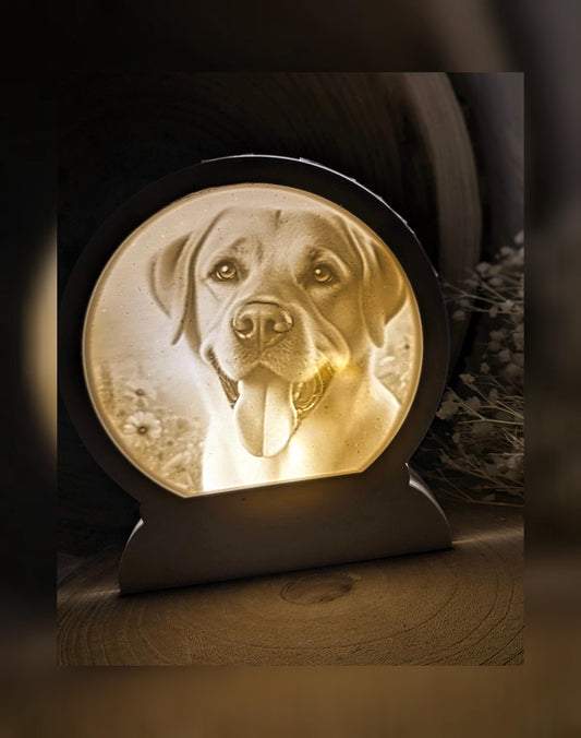 Loop Lampe/ Balu / Laprador / Premium-Qualität / Lampe / Lithophane / Gießform / Raysin / Silikonform