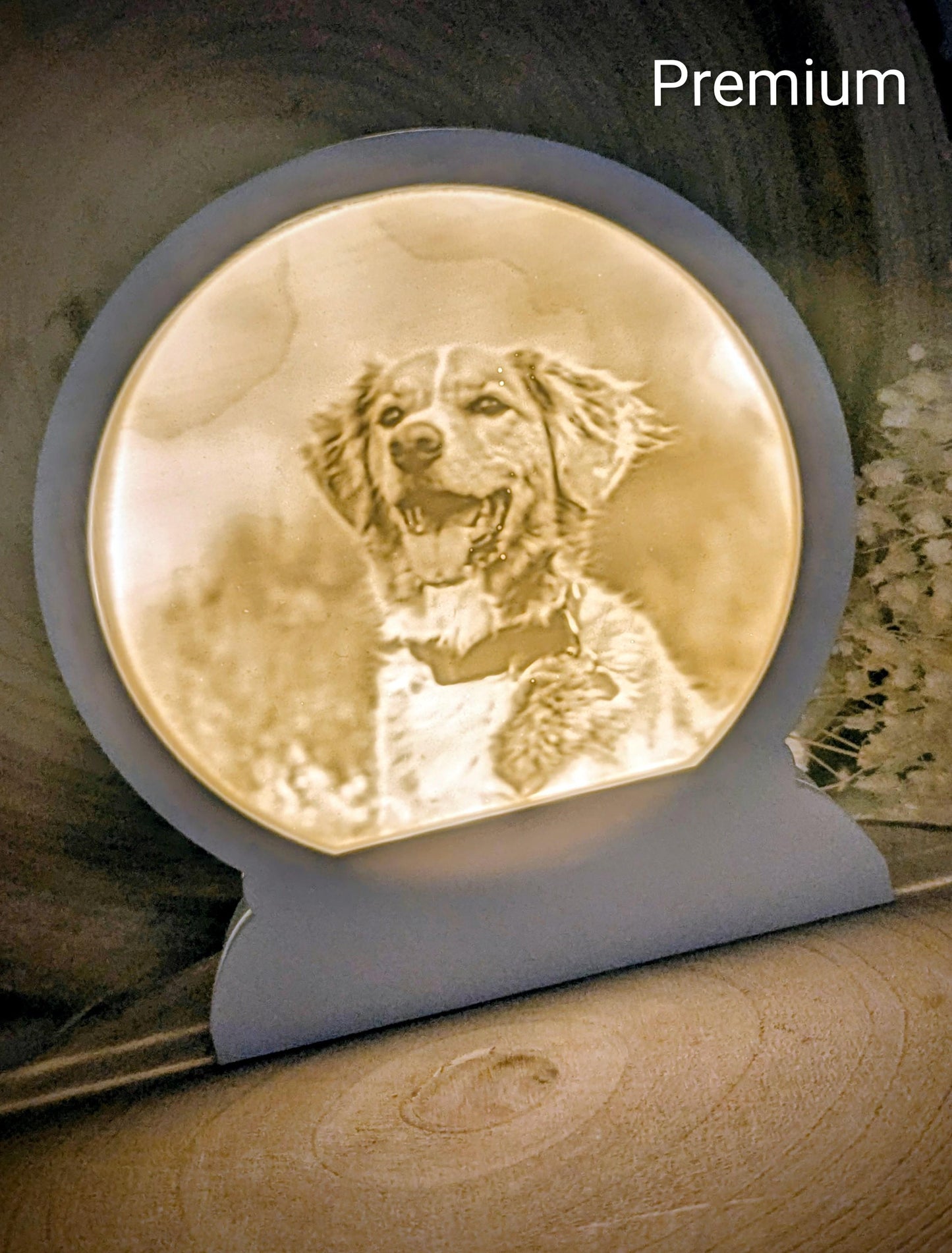 Loop Lampe/ Teddy / Nova Scotia Duck Tolling Retriever / Premium-Qualität / Lampe / Lithophane / Gießform / Raysin / Silikonform