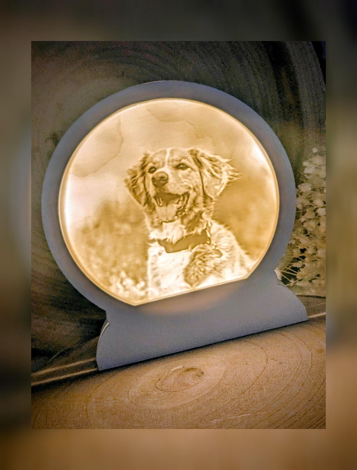 Loop Lampe/ Teddy / Nova Scotia Duck Tolling Retriever / Premium-Qualität / Lampe / Lithophane / Gießform / Raysin / Silikonform