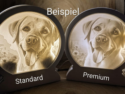 Loop Lampe/ Emil / Schneemann / Premium-Qualität / Lampe / Lithophane / Gießform / Raysin / Silikonform