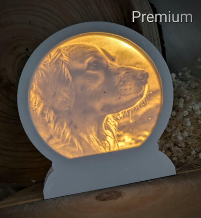 Loop Lampe/ Bruno / Golden Retriever / Premium-Qualität / Lampe / Lithophane / Gießform / Raysin / Silikonform