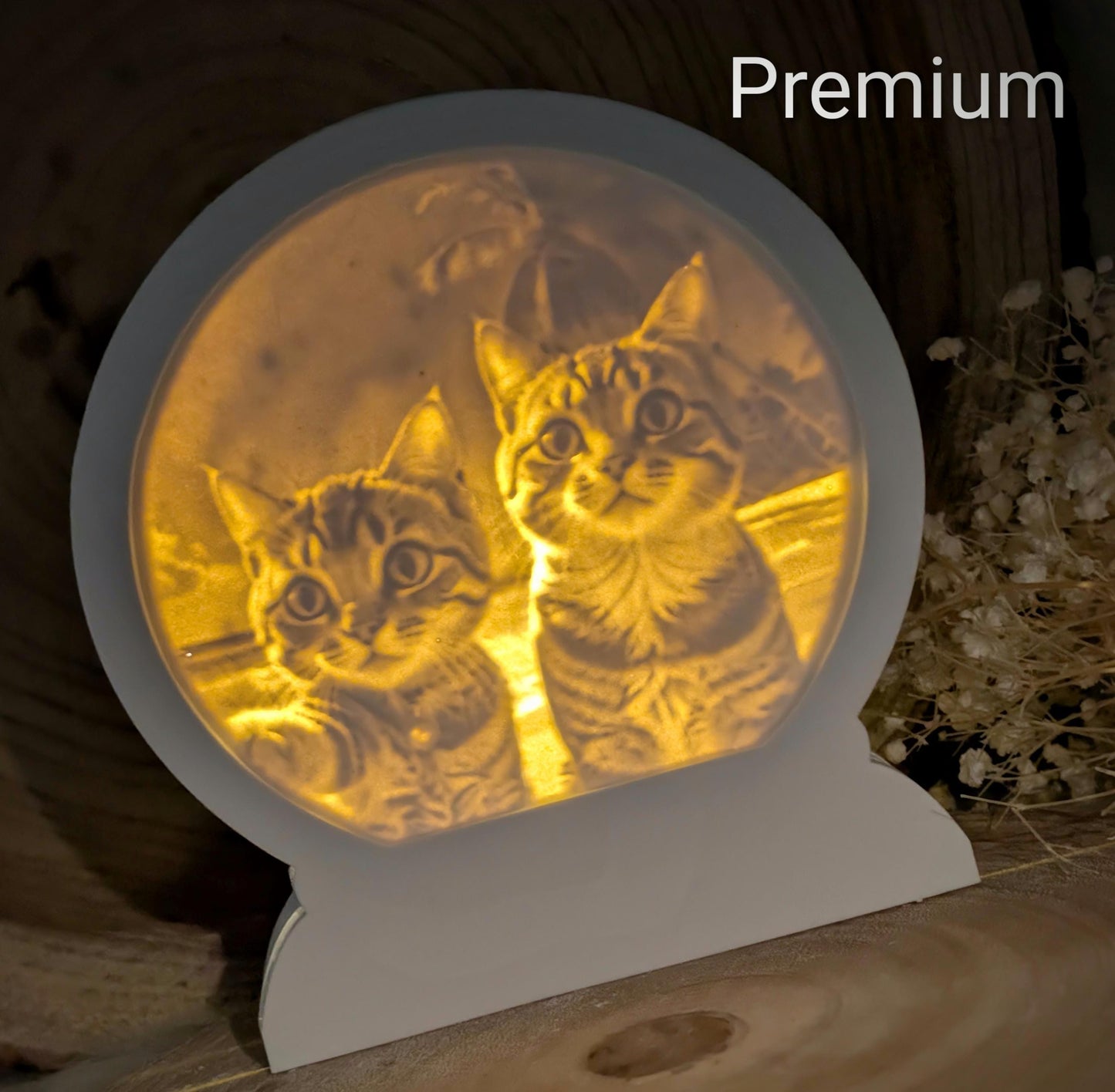 Loop Lampe/ Samtpfoten / Katzen / Premium-Qualität / Lampe / Lithophane / Gießform / Raysin / Silikonform