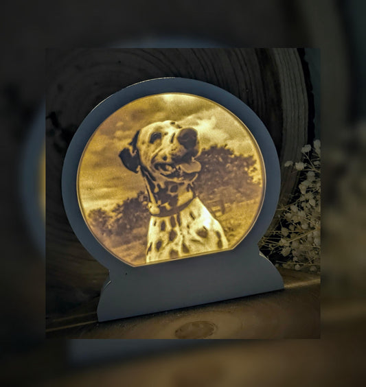Loop Lampe/ Pongo / Dalmatiner / Premium-Qualität / Lampe / Lithophane / Gießform / Raysin / Silikonform