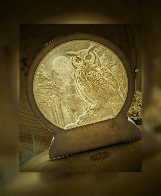 Loop Lampe/ Nachteule / Uhu / Premium-Qualität / Lampe / Lithophane / Gießform / Raysin / Silikonform