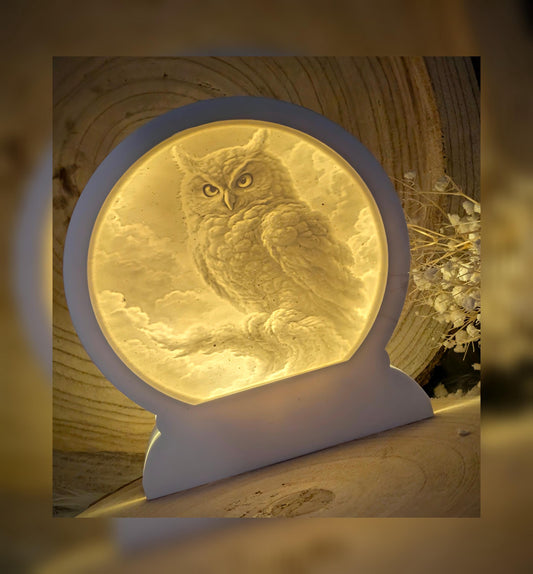 Loop Lampe/ Wintereule / Uhu / Premium-Qualität / Lampe / Lithophane / Gießform / Raysin / Silikonform