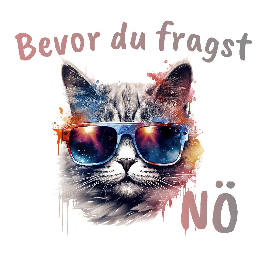 Katze mit Sonnenbrille / DTF Print / Bügelbild / Bevor du fragst NÖ / Unisex