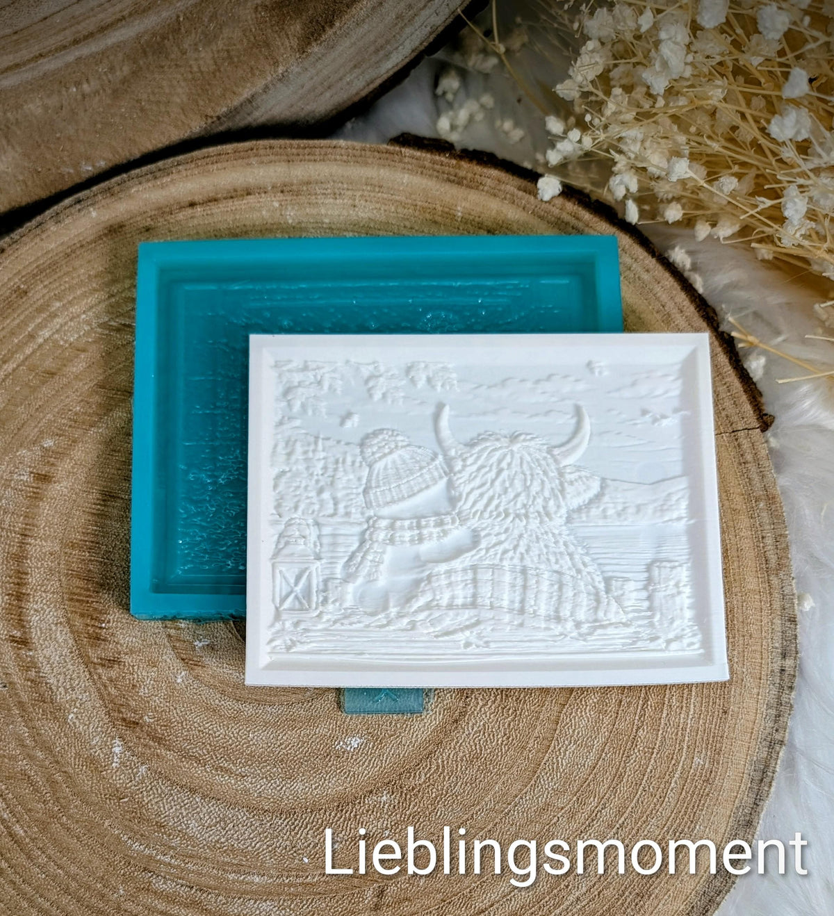 Lithophane-Wechselmotiv / Lieblingsmoment / für LichtQuartett und Kamin / Premium-Qualität / Lampe / Lithophane / Gießform / Raysin